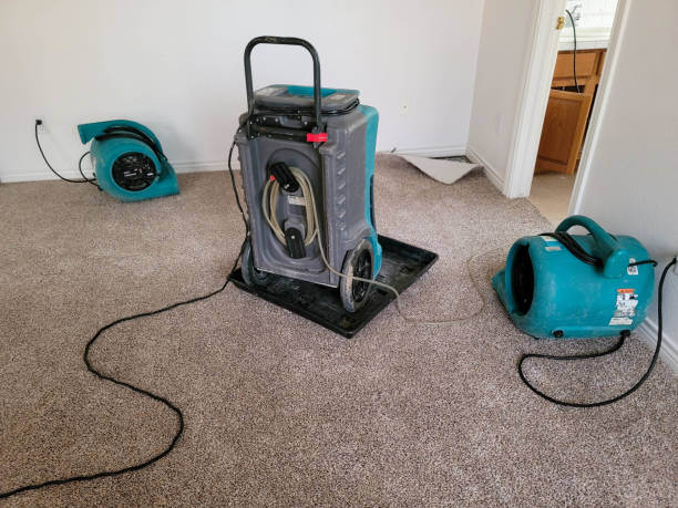 Professional Water damage restoration in Stryker, OH